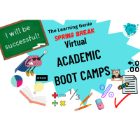 3-R's VIRTUAL ACADEMIC BOOT CAMPS